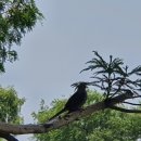 제동 행정사사무소 이미지