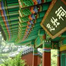 황박 묘 이미지