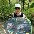 빛난다그손 이미지