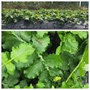 쑥쑥공인중개사사무소 이미지