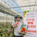 김광일 카카오 검색결과