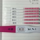 하나여성의원 | 미래연여성의원 이식 후기, 3일 배양 6일~11일차 증상과 임테기