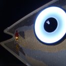 고등어 화장실 이미지