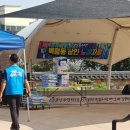 북평민속시장 이미지