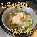 원조동대문닭한마리 | 동대문 맛집 진옥화 할매 원조 닭한마리 내돈내산 후기