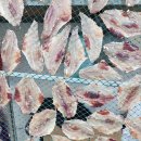 덕성호수산 이미지