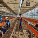 전북도청 이미지