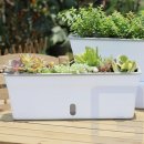 단미정원 이미지