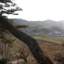 미천면-7 이미지