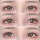 렌즈베리 | 렌즈베리 실루엣3 베이지 브라운 먼슬리 렌즈 후기