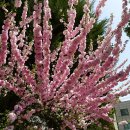 강원도청반비 어린이집 이미지