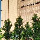 대중음악이야기 이미지