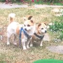 가온힐링문화체험연구소 이미지