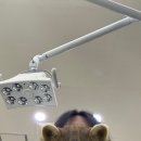 (주) 닥슨