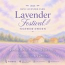 고성 하늬라벤더팜 보라빛 물결 이미지