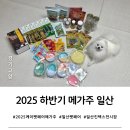 (주)레드폭스소프트 | 2025 메가주 일산 킨텍스 케이펫페어 관람 후기(주차정보, 택배, 구매템 등)