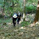 가평1리 마을회관 이미지