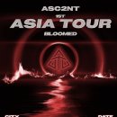 어센트컴퍼니 이미지