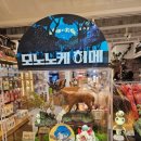 너는아름답다 | [모노노케 히메 시사회 후기] 살아라, 너는 아름답다.