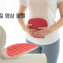밸런스자세교정