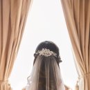 행진결혼정보 이미지