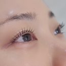 아티스트비에스 - 세종특별자치시 | 송촌동 노글루 속눈썹펌 잘하는 곳, 송촌동 속눈썹 전문샵 아티스트비에스 후기
