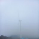 진고개로 Daum카페