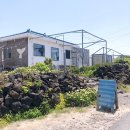 한라산(주택동) | 제주 동쪽 구좌읍 카페한라산 세화해변 아이랑
