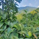 김찬형생활건강 이미지