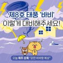 도복의바람소리가울려퍼지는TOP태권도 이미지