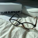 롱런PC | 젠틀몬스터 소송 이슈 속 블루엘리펀트 AVA leopard, 직접 써보니 달라진 점 (블루라이트 안경 후기)