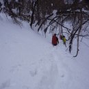 도원1리 이미지