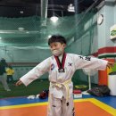 대호태권도체육관 이미지