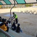 안양덕현초등학교 이미지