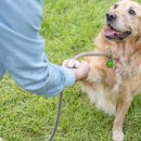 월드유치원 이미지