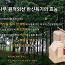 펄라이트존(ZONE) 이미지