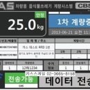 시스템 카스