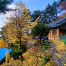 상고암 - 1603 | 상고암