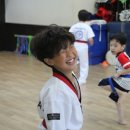 용인대 태권얍 이미지