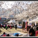 덕치초등학교 이미지