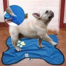 10 must haves: the best things to buy in AliExpress_ Pets (알리 <b>익스프레스</b>에서 사야 하는 펫 용품 편)