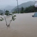 충북 부분정비 노컷뉴스