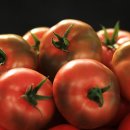 사천농협하나로마트 이미지