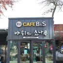 바위와소나무 이미지