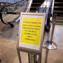 지지고 동아대부민 | [일상/일기] 9월 3주 녹 위클리