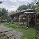 박터진흥부네 이미지