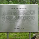 적목리 공동생활유적 이미지