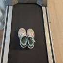 부영나라공인중개사사무소 | "집값 더 떨어질까? 건설공사비지수(CCI)와 10년의 데이터가 말하는 삼화지구 삼화부영의 하방 지지선"