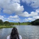 초록바람 | 하와이 가볼만한 곳 초록의 천국 호오말루히아 보타니컬 가든 방문 후기(무료입장)