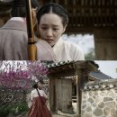 리비도 Daum카페
